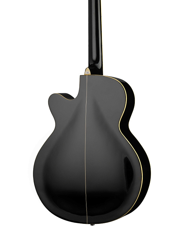 Фото Акустическая гитара Naranda F303CBK