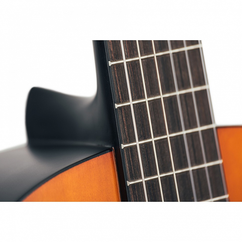 GEWApure Classical Guitar Basic Plus Natural 4/4 в магазине Music-Hummer