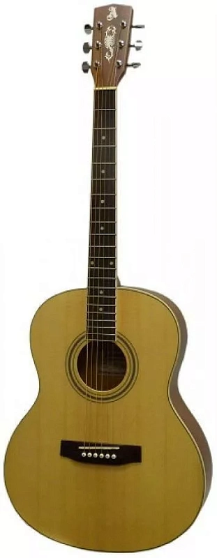 Фото Гитара акустическая ALICANTE ROCK NA