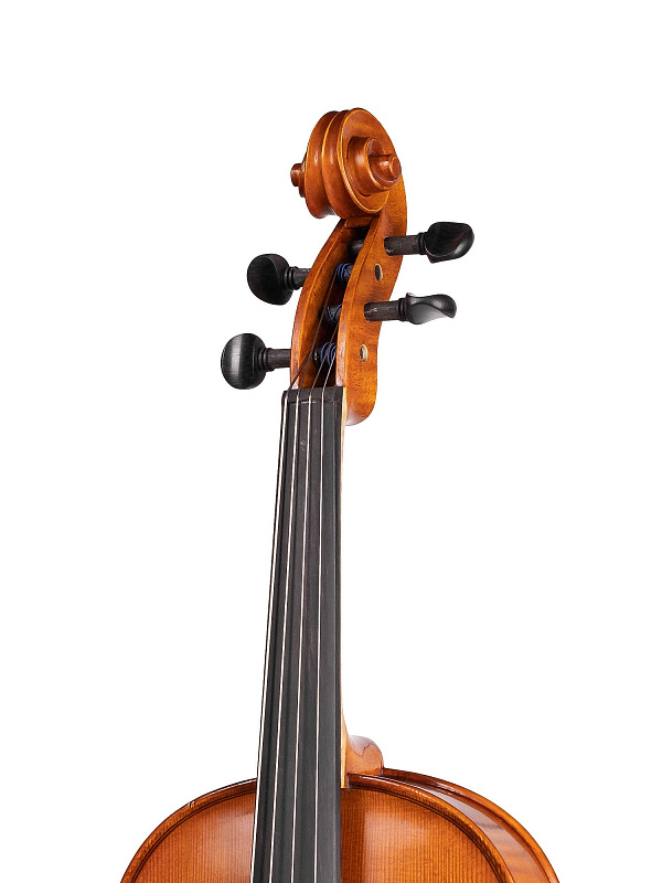 Фото Альт Gliga AW-V165 Workshop Gems 1