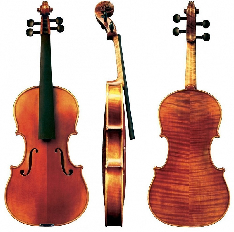 GEWA Violin Maestro 6 Redbrown 4/4 в магазине Music-Hummer