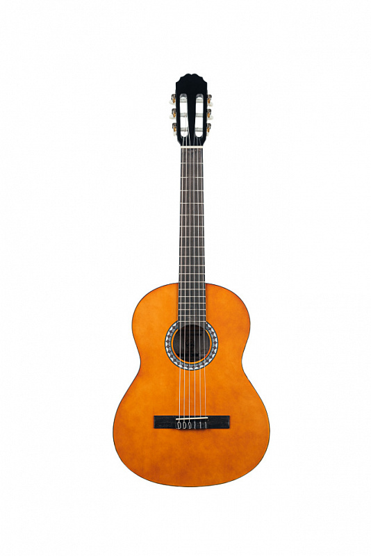 Гитара GEWApure Classical Guitar Basic Natural 4/4 в магазине Music-Hummer